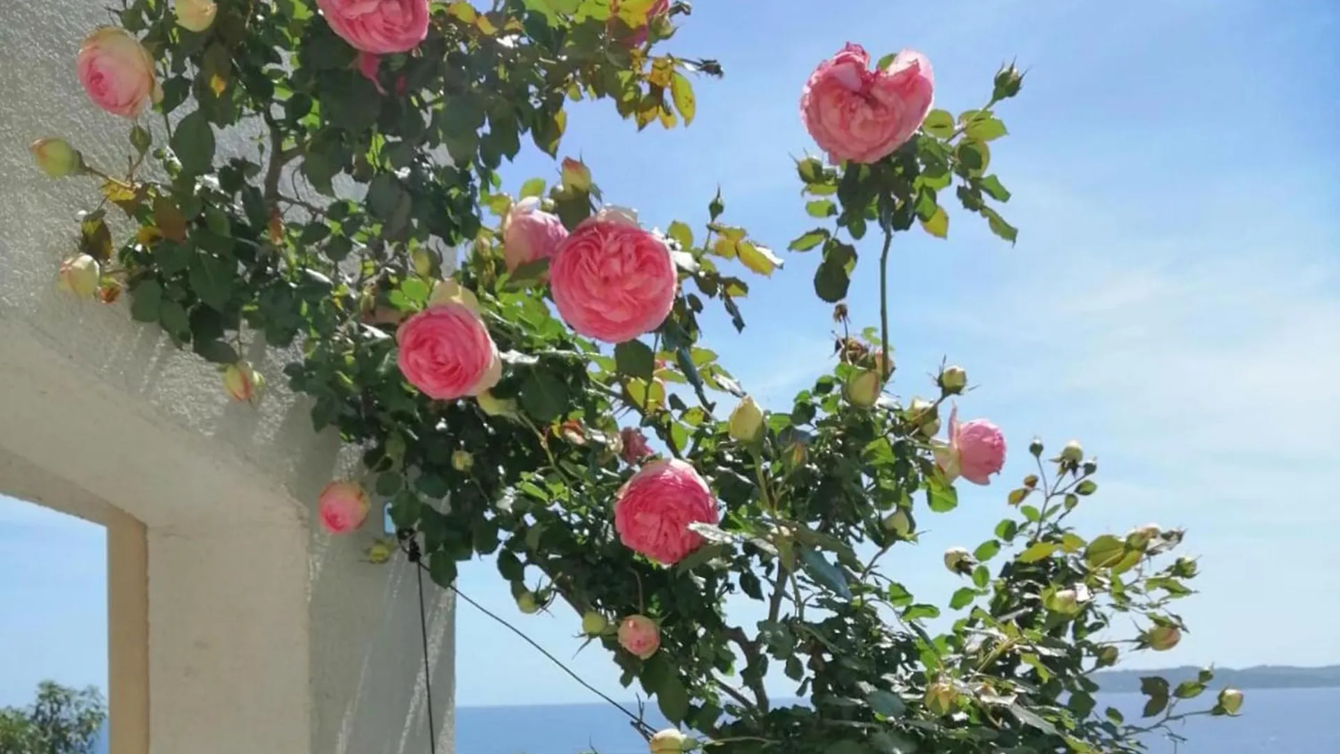 La Mereveil Sainte-Maxime 0*,